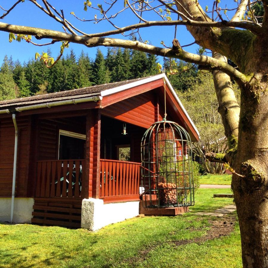 Stravaigin Lodge Dunoon Zewnętrze zdjęcie